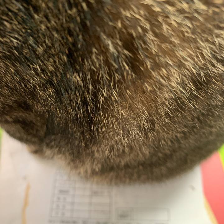 0b9e7163 68e3 44e5 a152 69d3c3382e2a 1759804960710