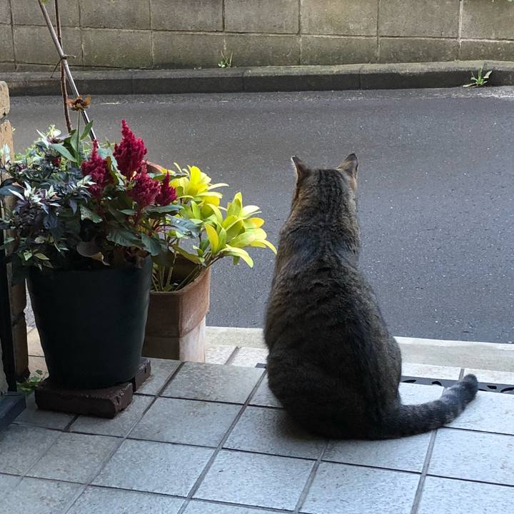 0b9e7e69 ed7b 460c 8c79 97e010d74303 1535158902594