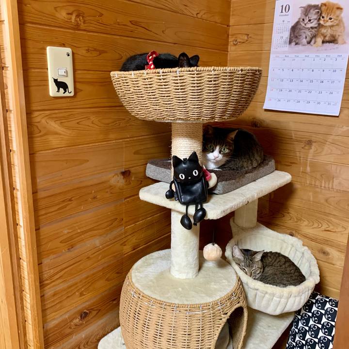 0b9ee283 5c2f 4925 91a6 54ca2d94df32 1604044304901