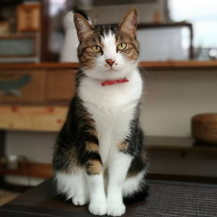 0b9f0b0d 1ce8 42b4 9a43 cd05a9ffd3b1 1530086524284