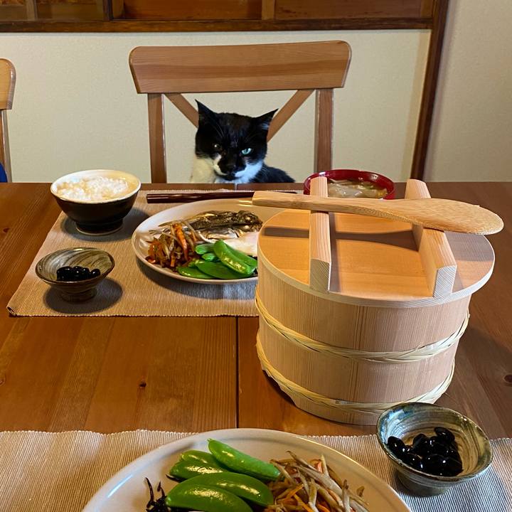 0b9f8461 3cb0 42e2 93b1 f357c3bfe8fa 1620519958319