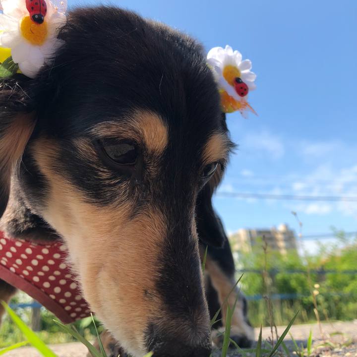 0b9f8d38 ec1e 4cbc 945a 2488581033ed 1590107118472