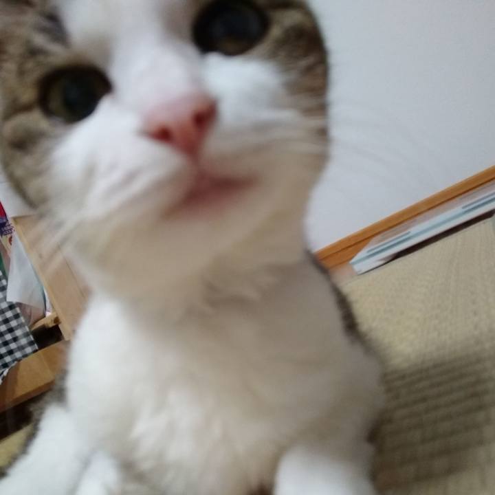 0b9fa166 4d86 4ce6 bf61 f00926187ac9 1559220925370