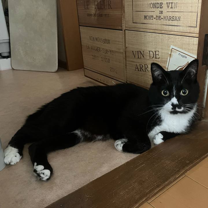 0b9fa8fd be44 4b63 85d8 b9bd511c596a 1691378122978