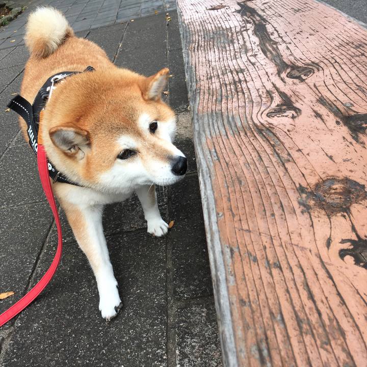 0b9fe9b8 0939 473d b934 a536f8078aff 1603160130404