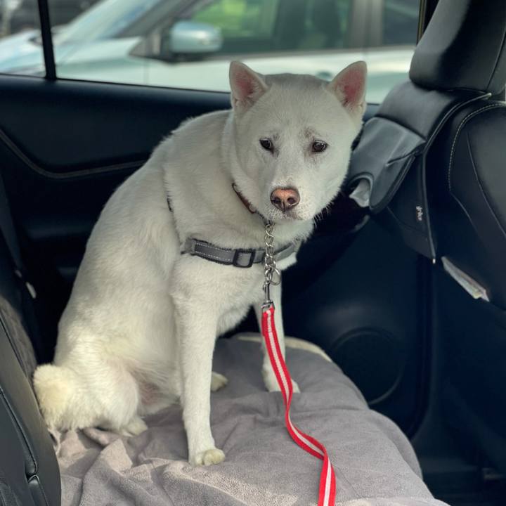 0b9ff3d0 1d3a 4c0e 9751 3de8d6c44329 1606625302405