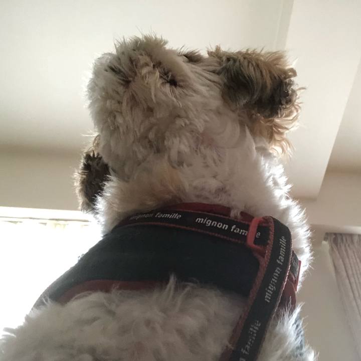 0ba0226e 61ba 4fd8 a3f3 f422619499bf 1615413564585