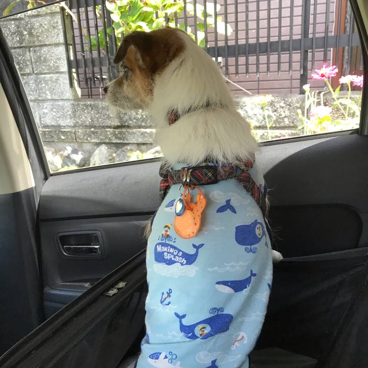 0ba03baf 74f9 4cef 9c02 ed0a8d71a0cf 1565591107628