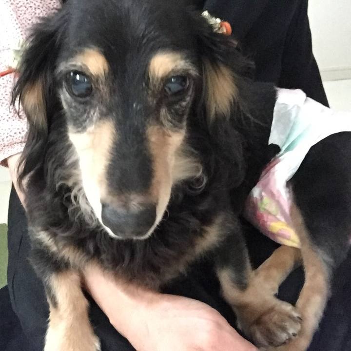 0ba03fdc a6a3 4666 81c8 3e5087b37dc6 1567588911573