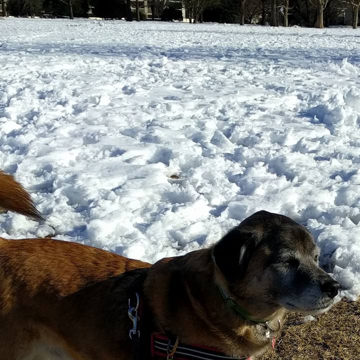 0ba04a49 1ed9 4707 96f2 dc66c1a621c6 1516840206662