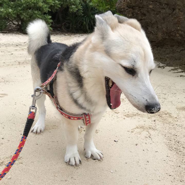 0ba07a1f f2b5 43a3 928f 92295f241d0f 1564665267413