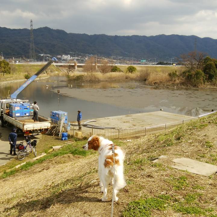 0ba0a588 7bc8 4791 bc57 3f0e3c394b0c 1552543913650