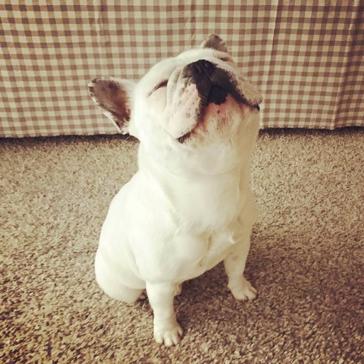 0ba0abba 4da5 4bce 8c50 5a009500242e 1508125237602