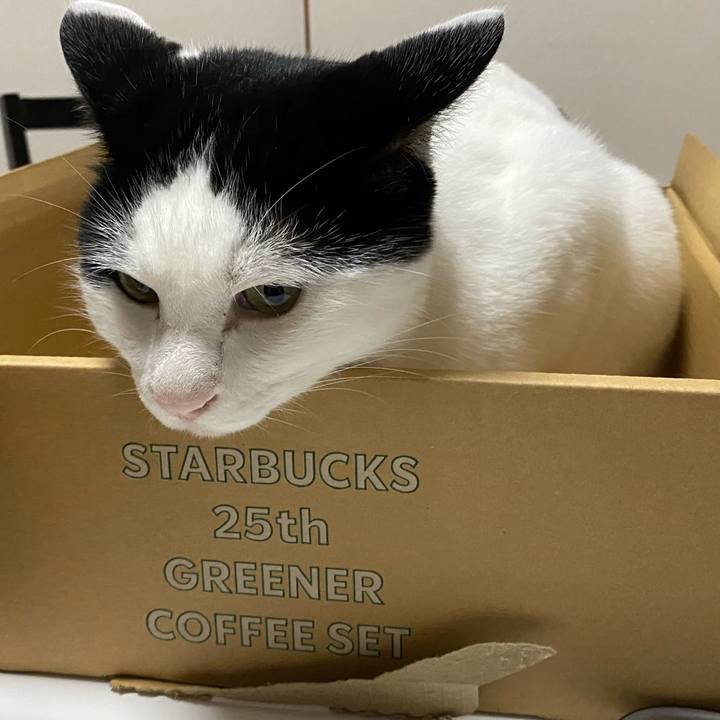 0ba0b39b 5f85 43ab 9d0a 9d55642406e1 1628064614187