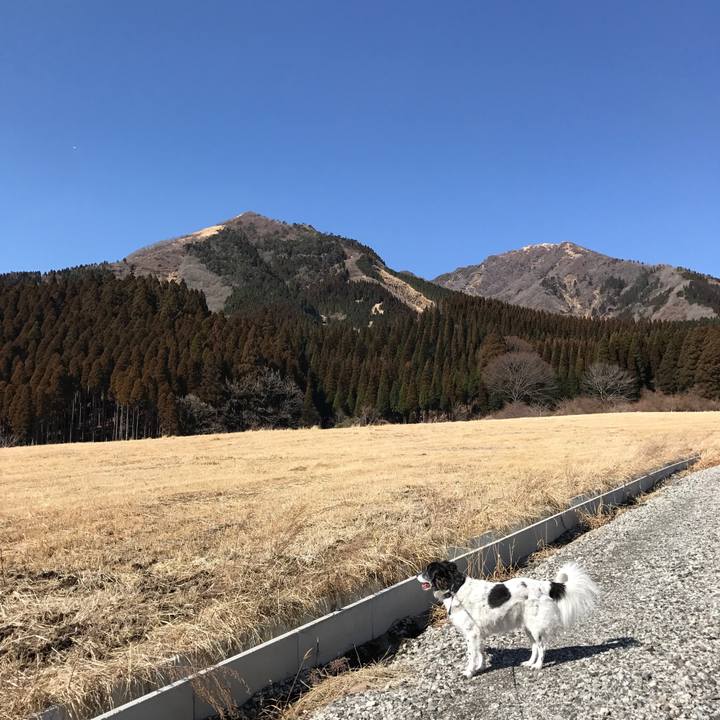 0ba0b67f 8170 4cff 9649 27c60fdcf305 1518225383156