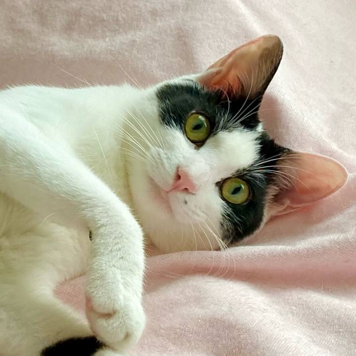 0ba0d280 e9fb 441e a5a7 8a2af0436bac 1659425088013