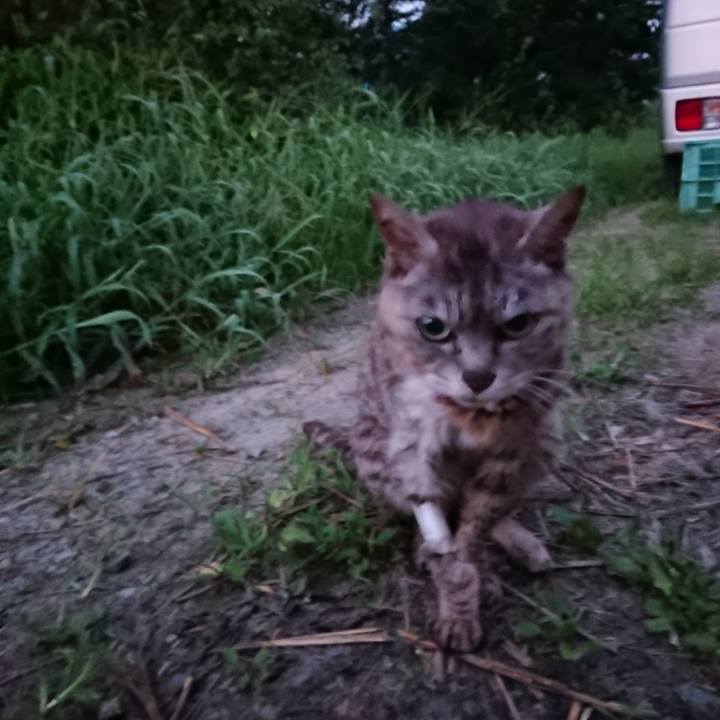 0ba0dd4c f30d 4fdc a6f6 7c7e5e21108b 1598040949264