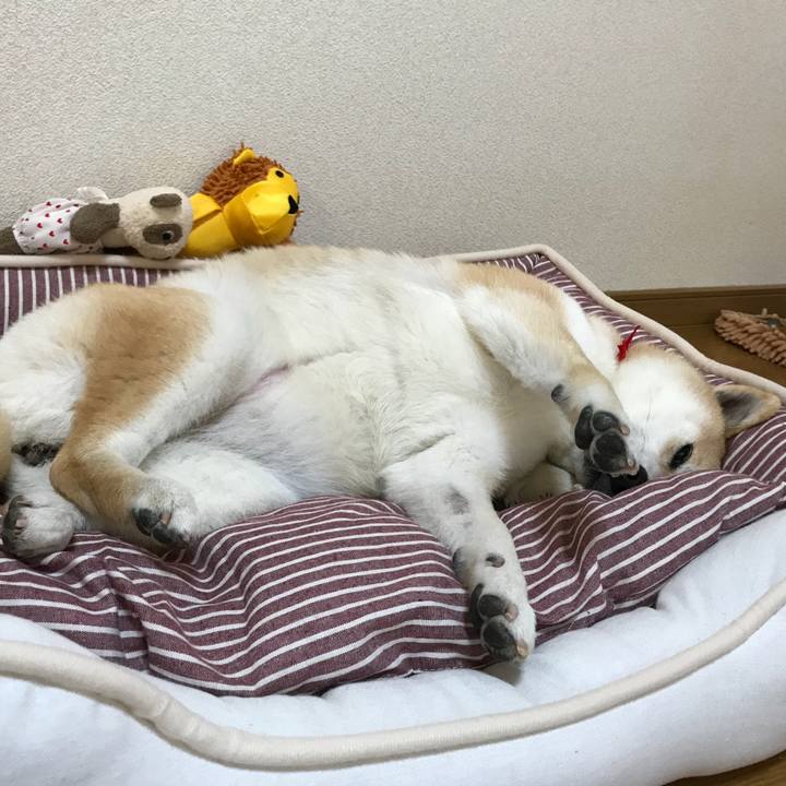 0ba0ef5b c637 4a0c ac41 928dcc2fa2c3 1524394403245