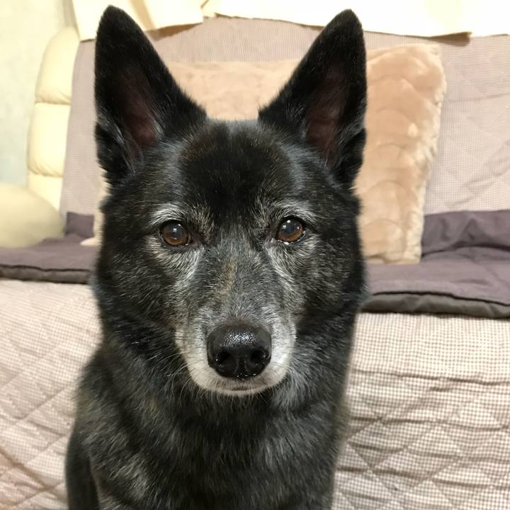 0ba11295 04c8 4ad1 9a88 4dc006bf17e0 1510279824346