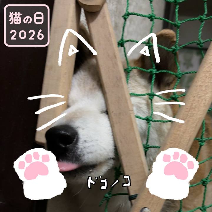 0ba152fa bfa5 45ba 9422 534902664228 1771812206982