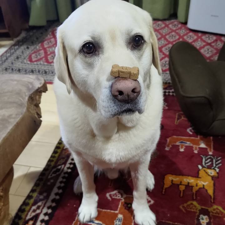 0ba15fc3 1865 4df5 9871 41b591db1a8b 1687188483608