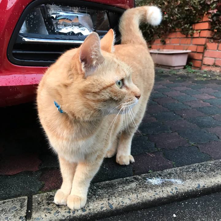 0ba1adcc 2190 437d 80ee daa90e46519a 1518685177386