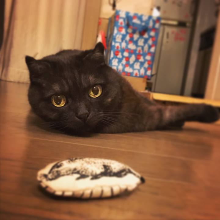 0ba1f0b4 b8ee 4757 955c dad9869d4b9a 1524415748188