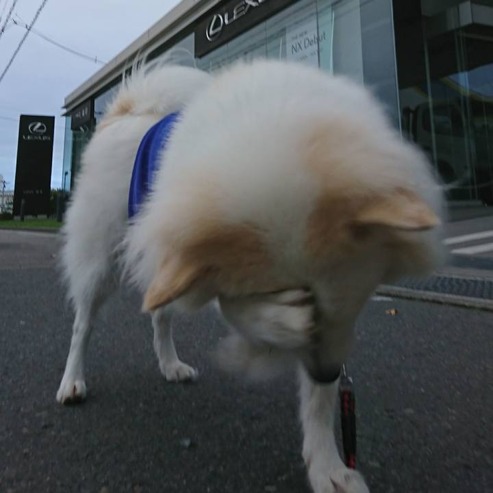 0ba27eb7 d834 453f 973f 65ab2d9ff525 1507671987372