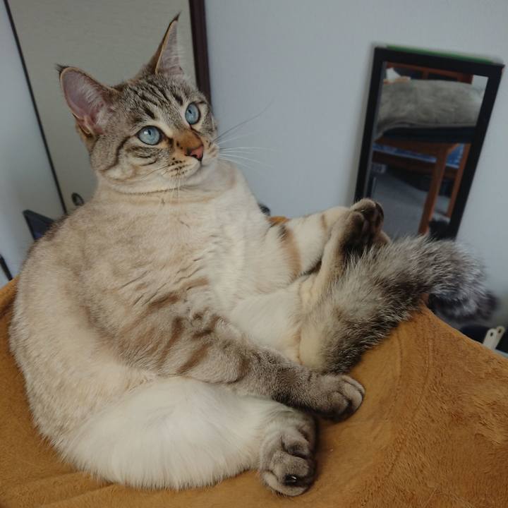 0ba28f6f 88db 40a6 927f 027779f7cdf8 1557035790267