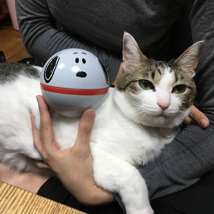 0ba29584 97e2 4e87 9d36 bbb639c715f3 1549452096910