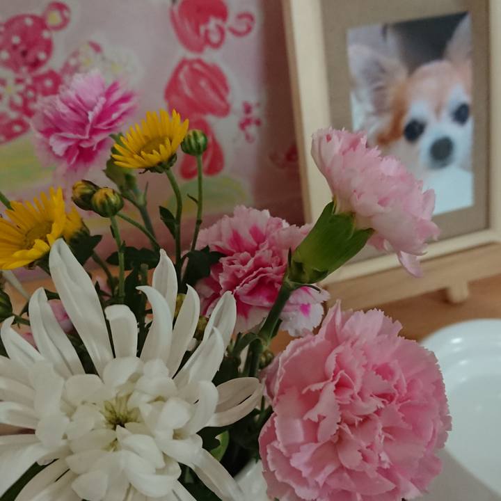 0ba29796 b239 4d75 8a8d a86bec6cfb77 1543923884090