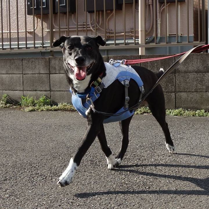 0ba2dc05 4c28 4cea 99db 916ed2d6b13c 1720402249679