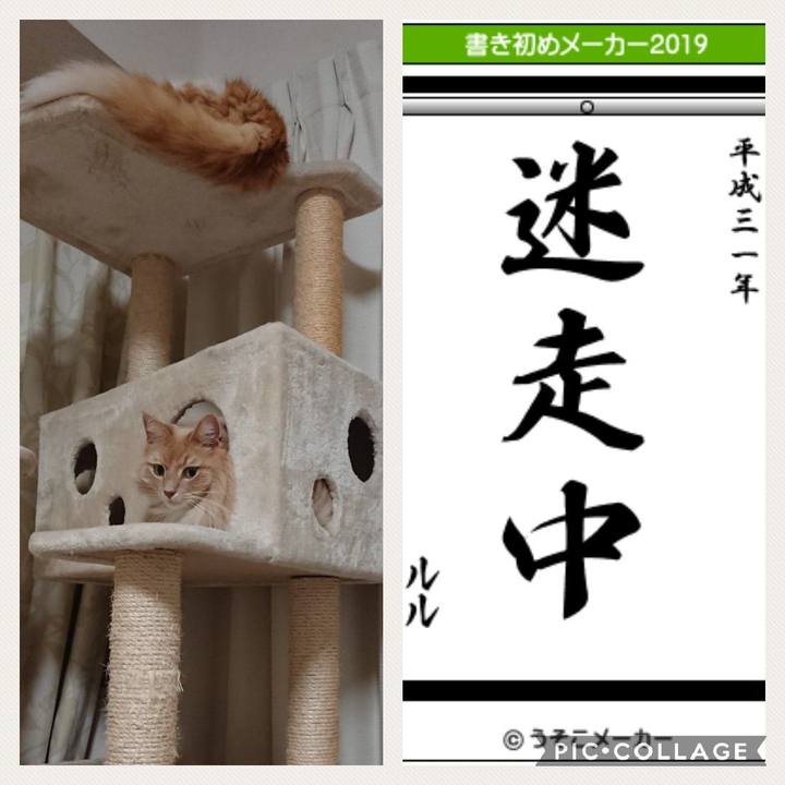 0ba2e306 582b 47aa af38 32bde602c3f1 1546441635026