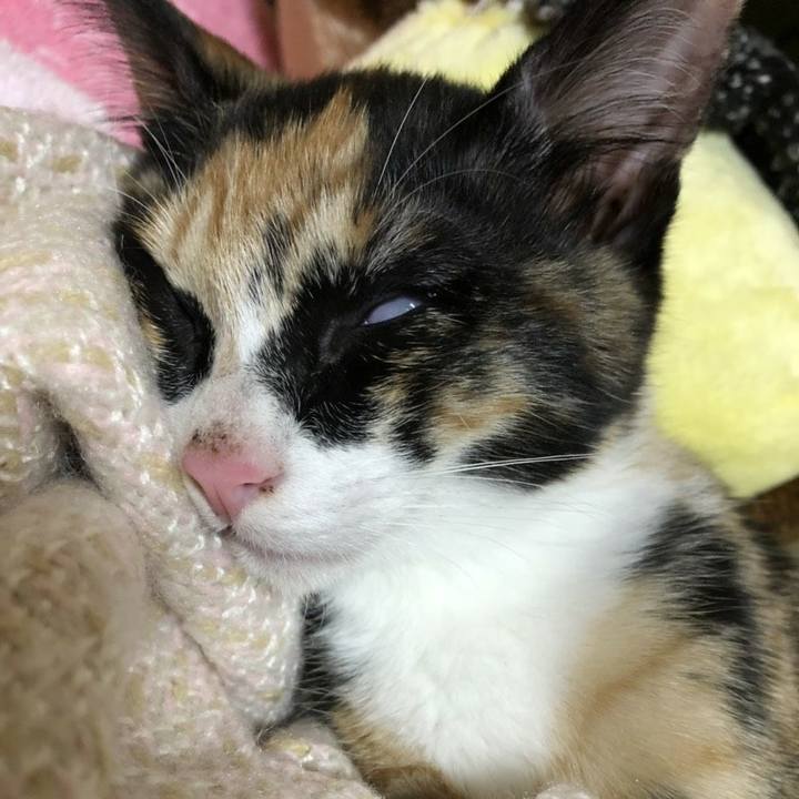 0ba4349d 10f4 4858 9d27 c85e57db070b 1545309340451