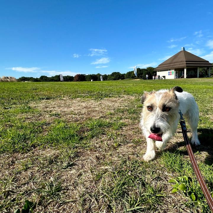 0ba4874a 5fdd 48e5 9752 26de15629b36 1731162653400