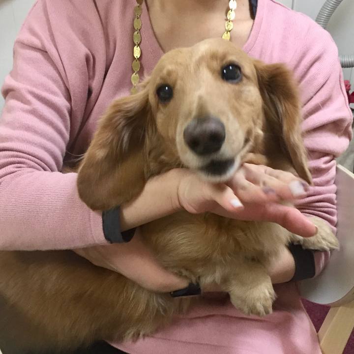 0ba4aed4 0a66 4bfc 8859 488c7b2e9313 1589624136832