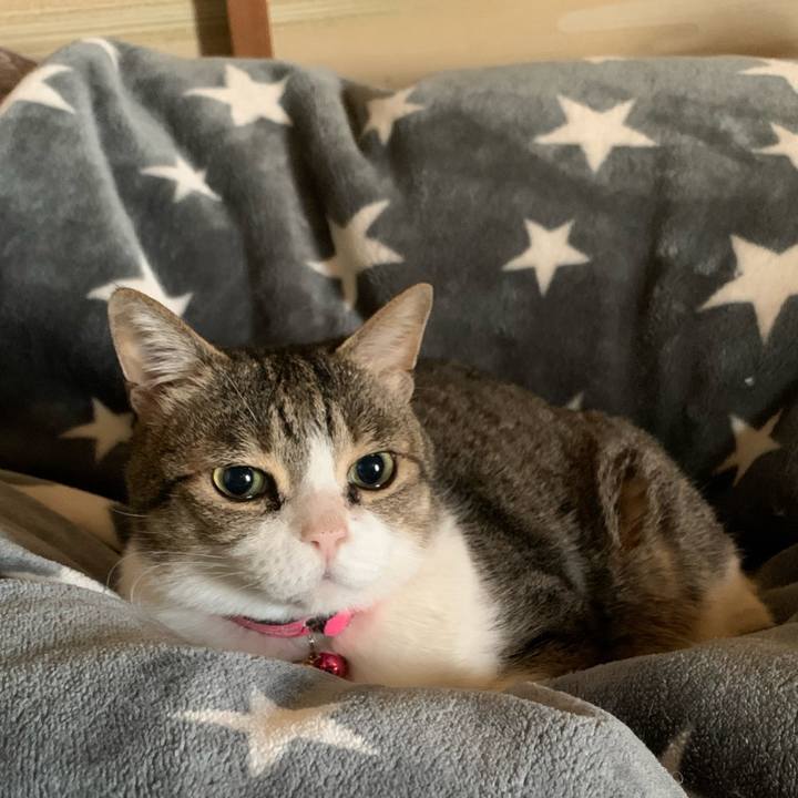 0ba508f0 337a 446d 8d43 bc27bc5c5365 1648339715041