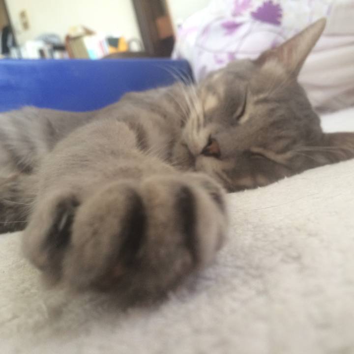 0ba5151d 356a 43d7 a06a e7013868c7b3 1536402627416