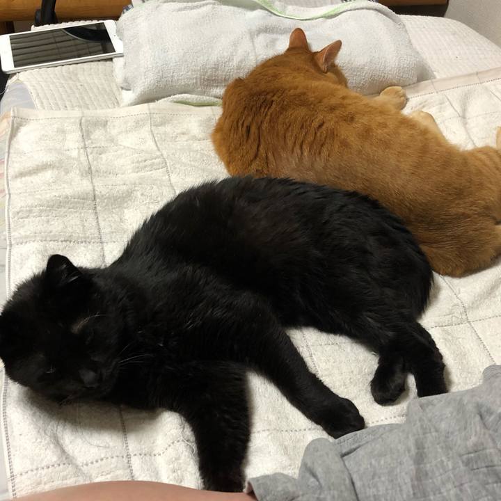 0ba5173e d47a 478d 97f1 1818dadc6298 1594048325758