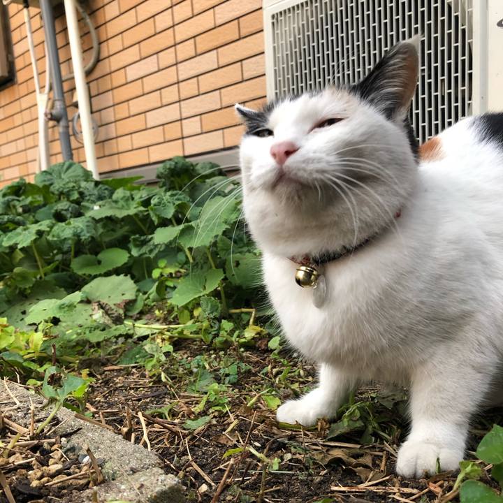 0ba51786 3db0 48db 9f82 c40e3c74c6b5 1606256921153