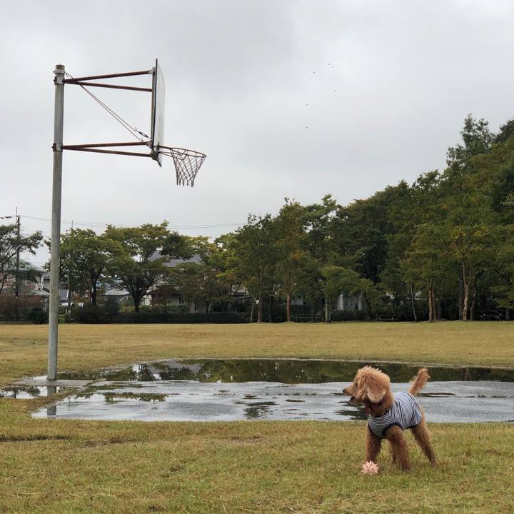 0ba523fa d1c8 46bb acf9 6d4b2fda8014 1570830170067