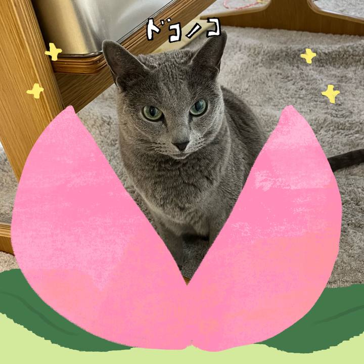 0ba53aa2 43a2 433b 8c74 23de4ae2d7be 1771937318089