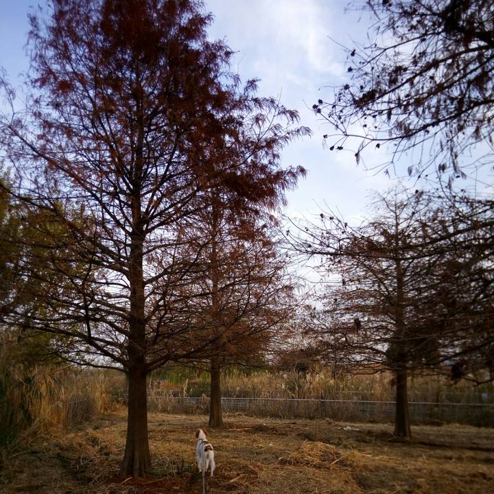 0ba55139 e955 44fa 9298 6d0e6318a3d5 1513383157434