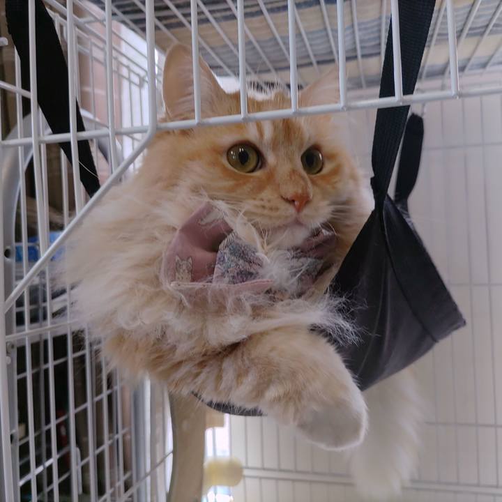 0ba5575c d5cb 45e0 ab27 6f0f0fb1ed3e 1717213059033