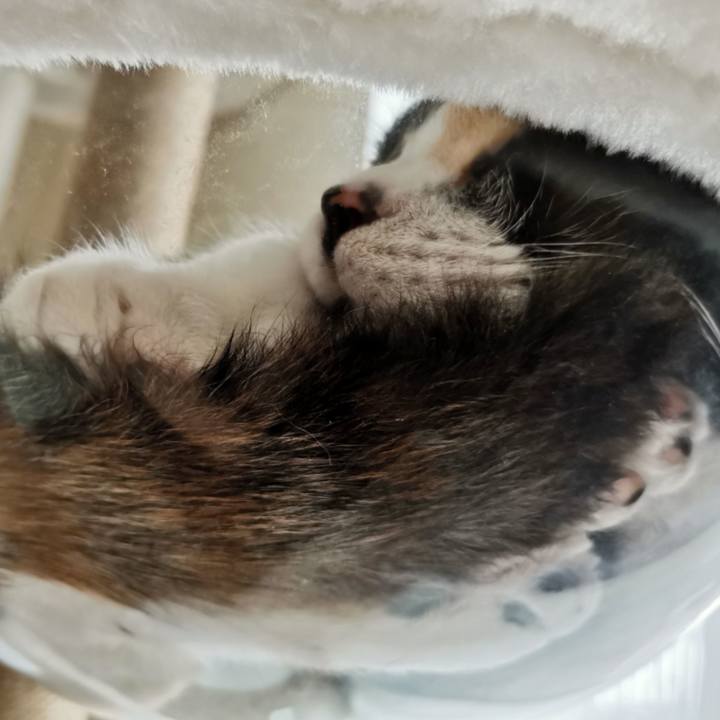 0ba59b34 54f3 4672 aec1 2151a5113eee 1629542105565