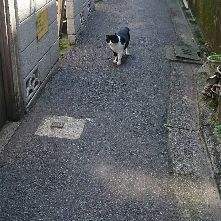 0ba5cc4d 9cfe 4ef2 a6a9 77f2b24b4f84 1524274774723