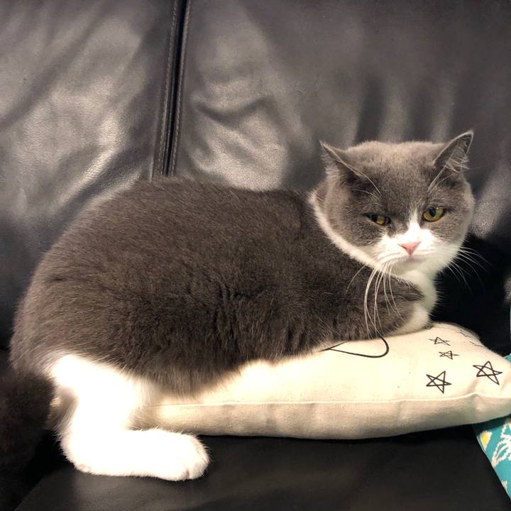 0ba61853 4596 4c0f aedc 486ecff22c64 1572683438407