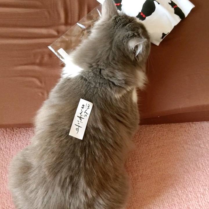 0ba628d7 86bf 4cde b351 d5e505f654ce 1586065596021