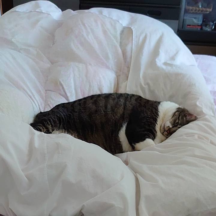 0ba652af 5ac3 4b65 9237 63a3715eca59 1639659722297