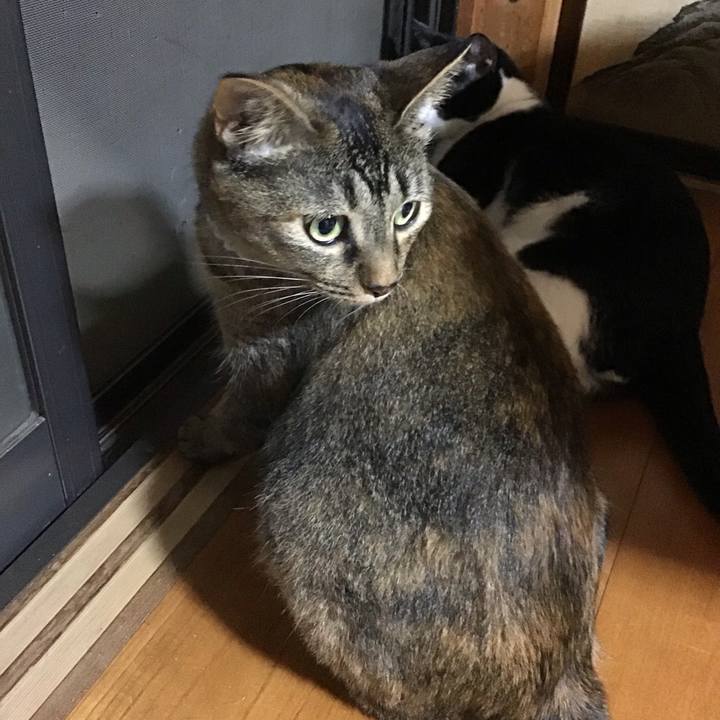 0ba65e05 0bf9 4870 9de4 27a6c83bee50 1658835687945